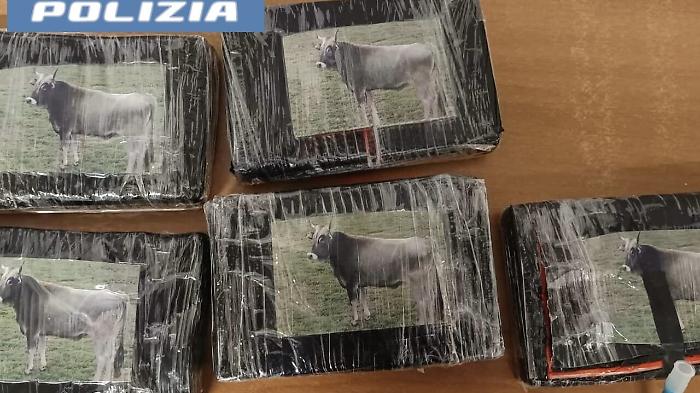 Auto rubata vicino allo stadio Massimino con 5 kg di cocaina confezionati con la foto di bovino