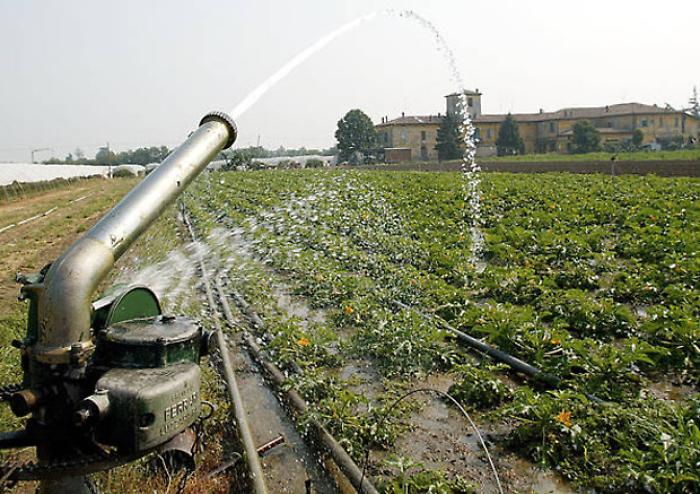 Gli invasi di Agrigento traboccano ma l'irrigazione non parte: &egrave; scontro sul Consorzio di bonifica