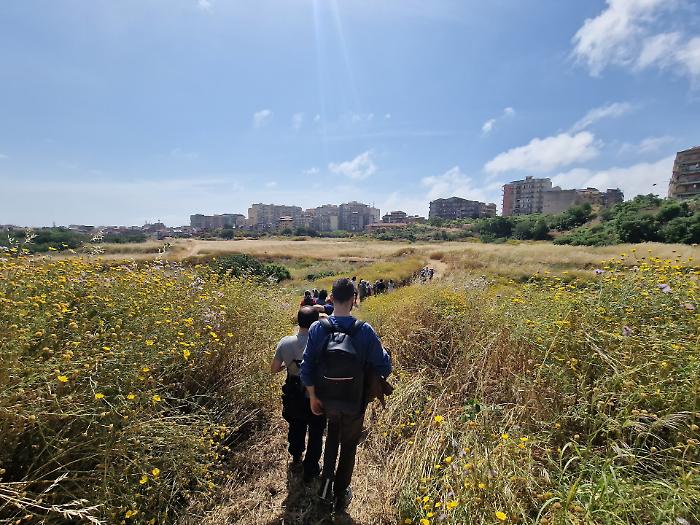 Orti di Cibali, il Consorzio: &laquo;Nessun abbandono, l'incendio era doloso. Anche noi vogliamo il parco pubblico&raquo;