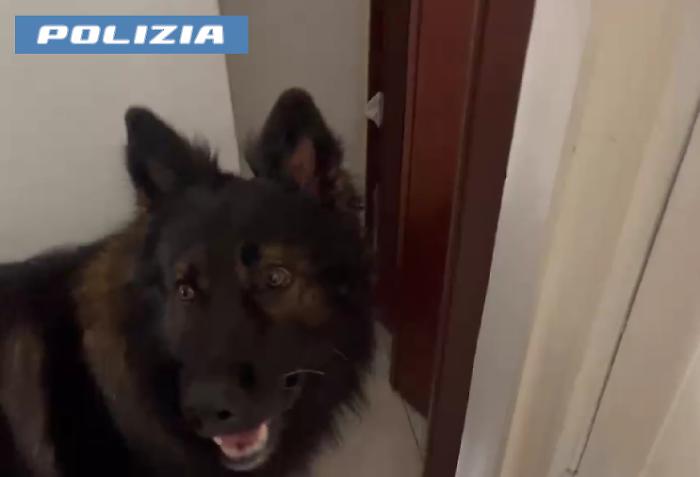 Ares fiuta oltre 3,5 kg di droga nella casa della nonna: arrestato 35enne a Catania