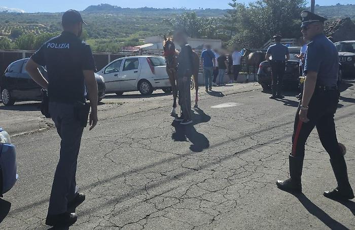 Fermata una nuova corsa clandestina di cavalli, blitz interforze tra Patern&ograve; e Adrano