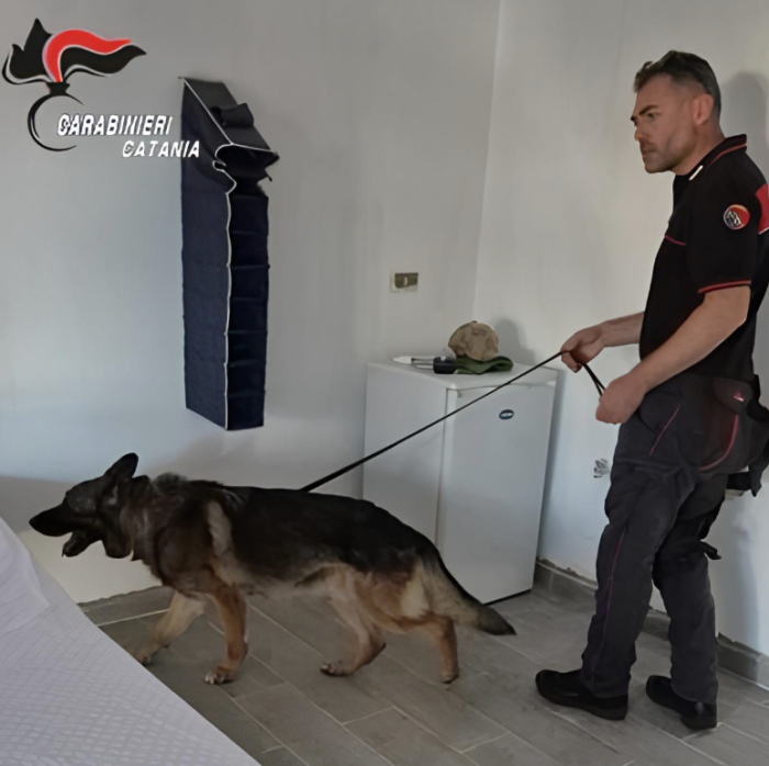 Il cane antidroga dei carabinieri fiuta il nascondiglio: arrestati due fratelli