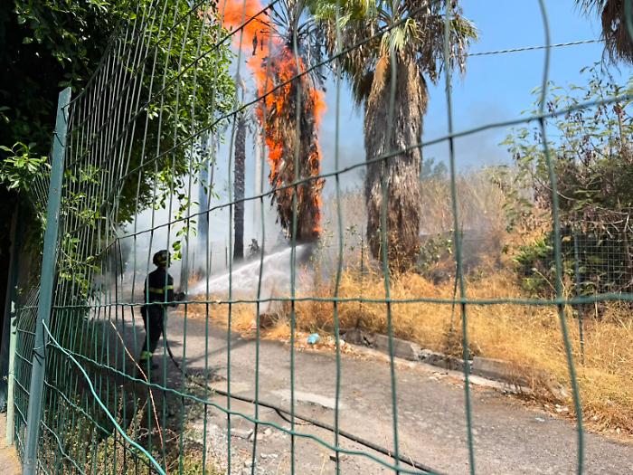 Ancora un incendio a Catania: in fiamme le palme di fronte ai campetti di calcio di via Velletri