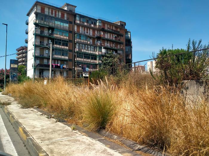Catania tra nuova allerta caldo, terreni abbandonati e piromani