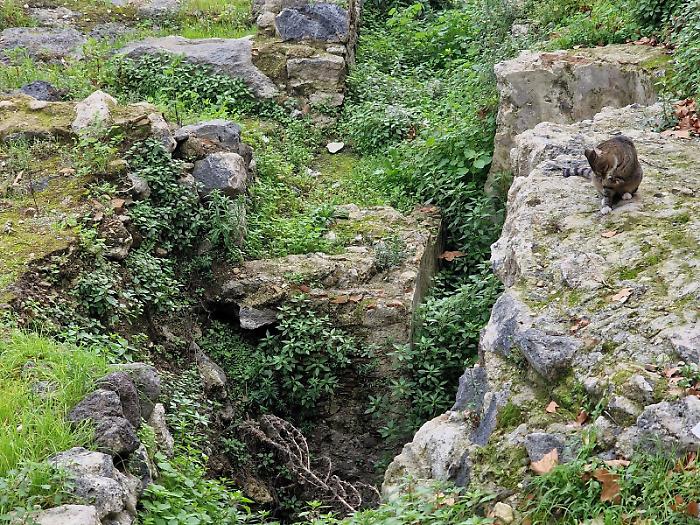 Catania, nuovi lavori a piazza Pappalardo: 125mila euro per coprire gli scavi archeologici