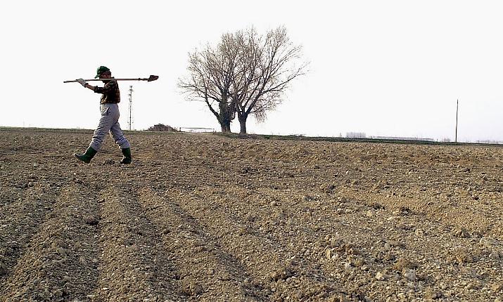 Siccit&agrave; in Sicilia, nuovi sabotaggi alla rete idrica: a rischio gli agrumi della Piana di Catania