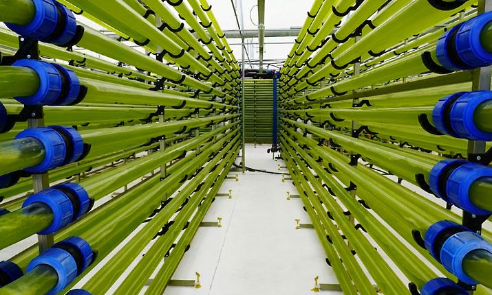 A Catania le aziende di oggi che scrivono il domani: dalle alghe per gli integratori al robot che raccoglie arance, pere e kiwi